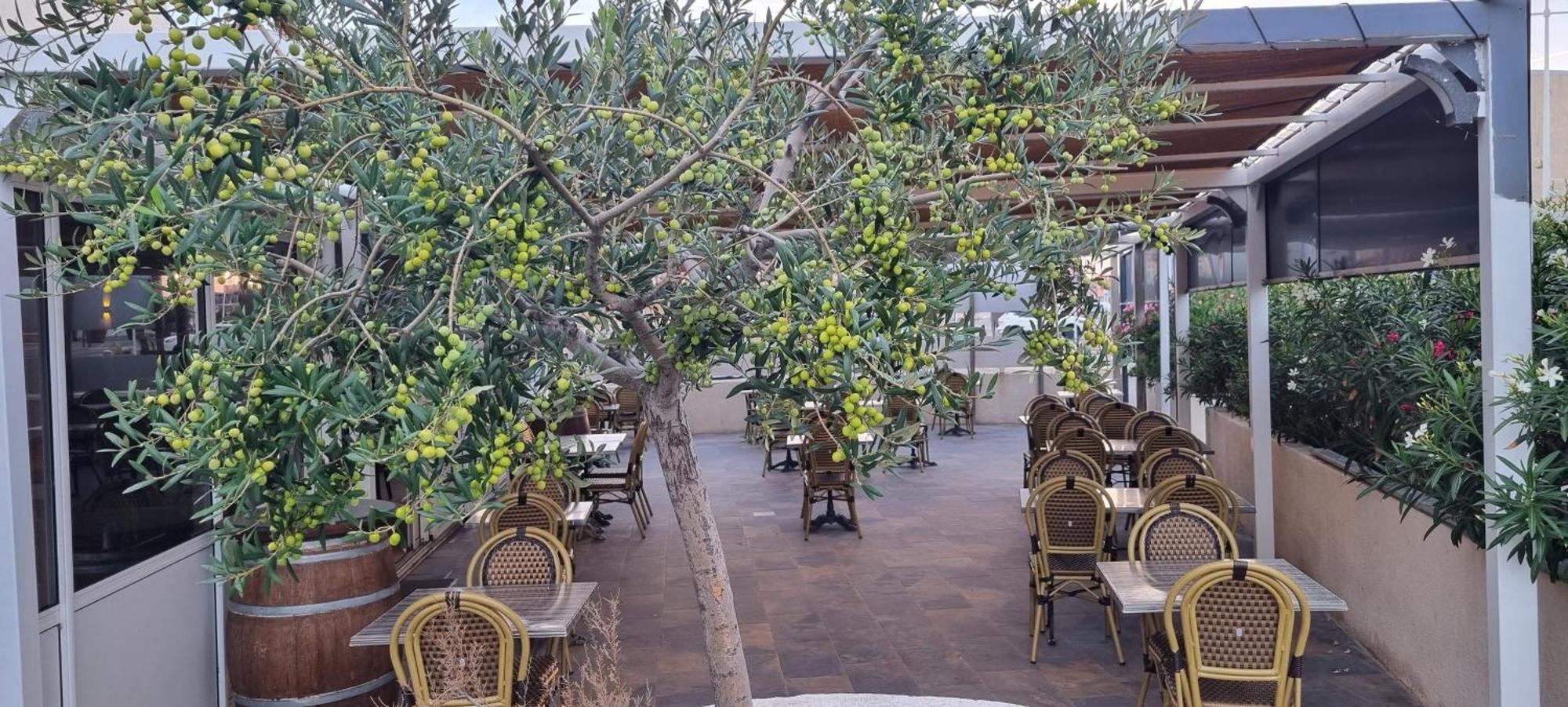 Hotel Restaurant Calypso Fos-sur-Mer Zewnętrze zdjęcie